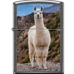 Zippo Llama 12706